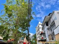 ดับเพลิงแม่สอด ออกตัดต้นไม้แนวสายไฟฟ้า บริเวณหลัง บริษัท AIA