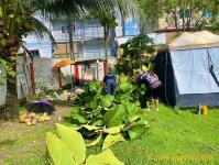 ดับเพลิงแม่สอด ออกตัดต้นไม้แนวสายไฟฟ้า บริเวณหลัง บริษัท AIA