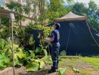 ดับเพลิงแม่สอด ออกตัดต้นไม้แนวสายไฟฟ้า บริเวณหลัง บริษัท AIA