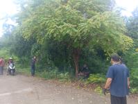 ดับเพลิงแม่สอด ออกตัดกิ่งไม้พาดผ่านสายไฟฟ้า บริเวณหลังอู่ช่างลือ