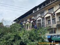 ดับเพลิงแม่สอด ออกตัดต้นไม้สี่แยกร้านขายปลา(ตลาดพาเจริญ)