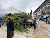 ดับเพลิงแม่สอด ออกตัดต้นไม้สี่แยกร้านขายปลา(ตลาดพาเจริญ)