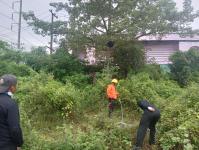 ดับเพลิงแม่สอด ออกตัดต้นไม้บริเวณข้างโรงเรียนเทศบาลเฉลิมพระเกียรติสมเด็จพระเทพรัตนราชสุดา ฯ