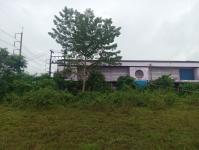 ดับเพลิงแม่สอด ออกตัดต้นไม้บริเวณข้างโรงเรียนเทศบาลเฉลิมพระเกียรติสมเด็จพระเทพรัตนราชสุดา ฯ