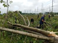 ดับเพลิงแม่สอด ออกตัดต้นไม้บริเวณข้างโรงเรียนเทศบาลเฉลิมพระเกียรติสมเด็จพระเทพรัตนราชสุดา ฯ