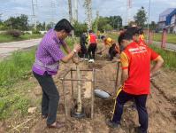 เทศบาลนครแม่สอดจัดกิจกรรมจัดกิจกรรมปลูกต้นไม้บริเวณโรงเรียนกีฬาเทศบาลนครแม่สอดและโรงเรียนเทศบาลเฉลิมพระเกียรติสมเด็จพระเทพรัตนราชสุดา ฯ สยามบรมราชกุมารี