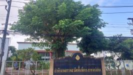 ดับเพลิงแม่สอด ออกตัดต้นไม้ภายในสำนักงานสรรพสามิตพื้นที่ตาก สาขาแม่สอด