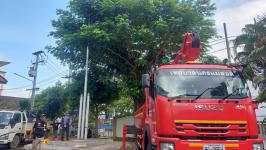 ดับเพลิงแม่สอด ออกตัดต้นไม้ภายในสำนักงานสรรพสามิตพื้นที่ตาก สาขาแม่สอด