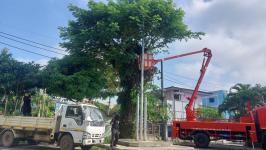 ดับเพลิงแม่สอด ออกตัดต้นไม้ภายในสำนักงานสรรพสามิตพื้นที่ตาก สาขาแม่สอด