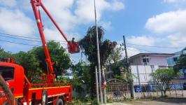 ดับเพลิงแม่สอด ออกตัดต้นไม้ภายในสำนักงานสรรพสามิตพื้นที่ตาก สาขาแม่สอด