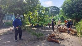 ดับเพลิงแม่สอด ออกตัดต้นไม้ภายในสำนักงานสรรพสามิตพื้นที่ตาก สาขาแม่สอด