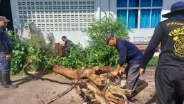 ดับเพลิงแม่สอด ออกตัดต้นไม้ภายในสำนักงานสรรพสามิตพื้นที่ตาก สาขาแม่สอด