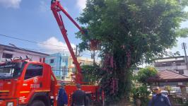 ดับเพลิงแม่สอด ออกตัดต้นไม้ภายในสำนักงานสรรพสามิตพื้นที่ตาก สาขาแม่สอด