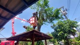 ดับเพลิงแม่สอด ออกตัดต้นไม้ภายในสำนักงานสรรพสามิตพื้นที่ตาก สาขาแม่สอด