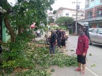 ดับเพลิงแม่สอด ตัดต้นไม้ หน้าบ้านประชาชน บริเวณถนนแม่สอด-แม่ตาว ทางไปโรงพยาบาลแม่สอด อำเภอแม่สอด จังหวัดตาก