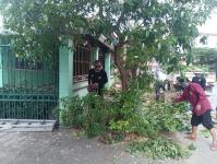 ดับเพลิงแม่สอด ตัดต้นไม้ หน้าบ้านประชาชน บริเวณถนนแม่สอด-แม่ตาว ทางไปโรงพยาบาลแม่สอด อำเภอแม่สอด จังหวัดตาก