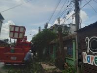 ดับเพลิงแม่สอด ตัดต้นไม้ หน้าบ้านประชาชน บริเวณถนนแม่สอด-แม่ตาว ทางไปโรงพยาบาลแม่สอด อำเภอแม่สอด จังหวัดตาก