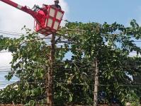 ดับเพลิงแม่สอด ตัดต้นไม้ หน้าบ้านประชาชน บริเวณถนนแม่สอด-แม่ตาว ทางไปโรงพยาบาลแม่สอด อำเภอแม่สอด จังหวัดตาก