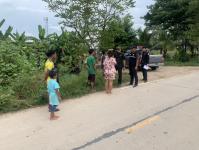 เทศกิจแม่สอด ดำเนินการแจ้งเจ้าของแพะหลุด ถนนราษฎร์อุทิศ แม่สอด