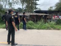 เทศกิจแม่สอด ดำเนินการแจ้งเจ้าของแพะหลุด ถนนราษฎร์อุทิศ แม่สอด