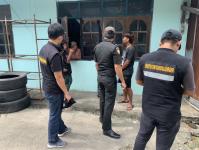 เทศกิจแม่สอด ดำเนินการแจ้งเจ้าของแพะหลุด ถนนราษฎร์อุทิศ แม่สอด