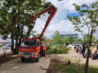 กองช่างร่วมกับงานป้องกันฯ ตัดแต่งกิ่งไม้บริเวณ รร.วัดดอนแก้ว