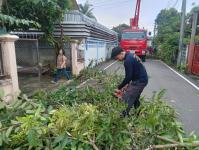 ดับเพลิงแม่สอด ออกตัดต้นไม้ตามคำร้อง บริเวณซอยอินทรคีรี ชุมชนบ้านเหนือ