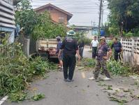 ดับเพลิงแม่สอด ออกตัดต้นไม้ตามคำร้อง บริเวณซอยอินทรคีรี ชุมชนบ้านเหนือ