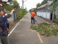 ดับเพลิงแม่สอด ออกตัดต้นไม้ตามคำร้อง บริเวณซอยอินทรคีรี ชุมชนบ้านเหนือ