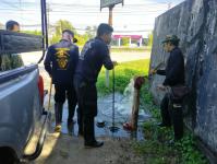 ดับเพลิงนครแม่สอด ดำเนินการออกสำรวจท่อประปาดับเพลิง(หัวแดง) เขตเทศบาลนครแม่สอด