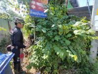 ดับเพลิงนครแม่สอด ดำเนินการออกสำรวจท่อประปาดับเพลิง(หัวแดง) เขตเทศบาลนครแม่สอด