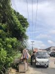 ดับเพลิงแม่สอด ออกตัดต้นไม้แนวสายไฟฟ้า หน้าไทยแสงทองบ้านทุ่ง