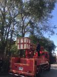ดับเพลิงแม่สอด ออกตัดต้นไม้พาดสา่ยไฟฟ้า ซอยโรงแรมบ้านระเบียงไม้