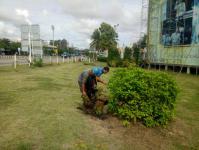 งานสวนฯ ปรับปรุงภูมิทัศน์บริเวณหน้าป้ายพระบรมฉายาลักษณ์สมเด็จพระเจ้าอยู่หัว รัชกาลที่ 10