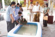 กองการศึกษาเทศบาลนครแม่สอด จัดการแข่งขันประกวดกระทง ประเภทสวยงาม โครงการจัดงานประเพณีลอยกระทง ประจำปีงบประมาณ พ.ศ. 2567