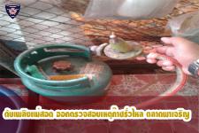 ดับเพลิงเเม่สอด ออกตรวจสอวบเหตุก๊าซรั่วไหล ตลาดพาเจริญ