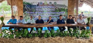 โครงการผู้สูงอายุอุ่นใจ ใช้สมุนไพรใกล้ตัวอย่างถูกวิธี