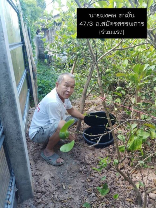 การขับเคลื่อนโครงการถังขยะเปียกลดโลกร้อน ในเขตเทศบาลนครแม่สอด