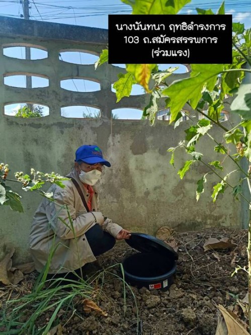 การขับเคลื่อนโครงการถังขยะเปียกลดโลกร้อน ในเขตเทศบาลนครแม่สอด