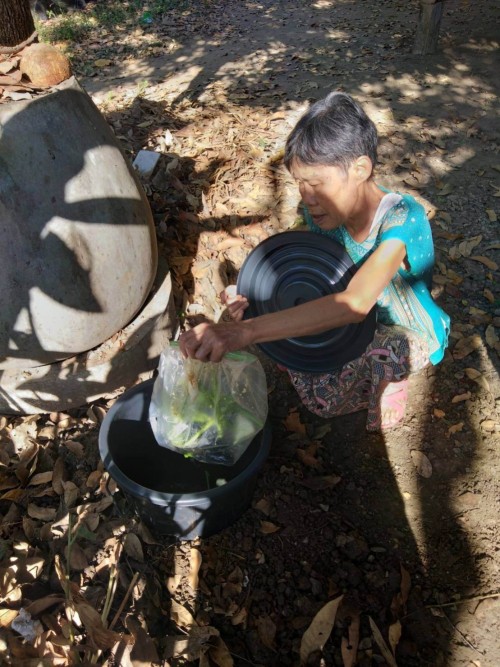 การขับเคลื่อนโครงการถังขยะเปียกลดโลกร้อน ในเขตเทศบาลนครแม่สอด