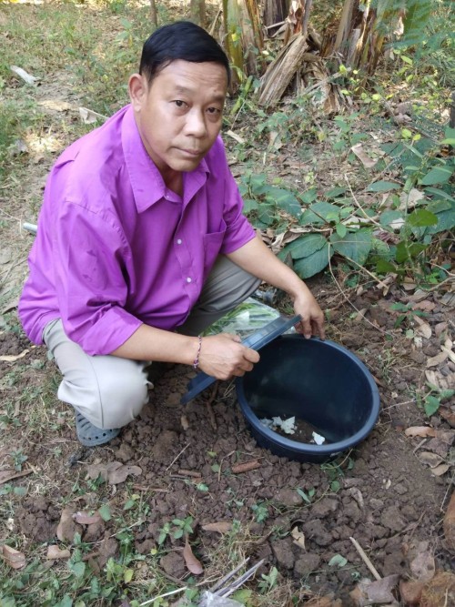 การขับเคลื่อนโครงการถังขยะเปียกลดโลกร้อน ในเขตเทศบาลนครแม่สอด