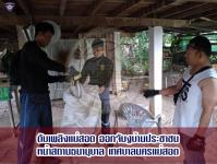 ดับเพลิงเเม่สอด ออกจับงูเข้าบ้านประชาชน หน้าโรงรับจำนำ
