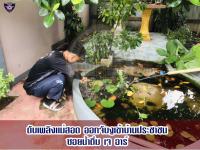 ดับเพลิงเเม่สอด ออกจับงูบ้านประชาชน ซอยน้ำดื่ม เจอาร์