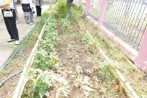 ท้องถิ่นจังหวัดตากลงพื้นที่ติดตามกิจกรรมการสร้างความมั่นคงทางอาหารอย่างยั่งยืนของสถานศึกษาสังกัดองค์กรปกครองส่วนท้องถิ่น