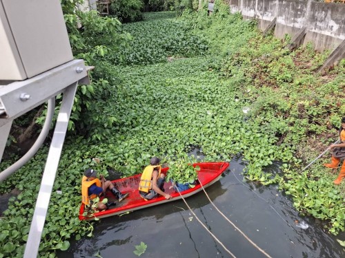 กองการศึกษา เทศบาลนครแม่สอดร่วมกิจกรรมปลูกต้นไม้เนื่องในวันรักต้นไม้ประจำชาติ