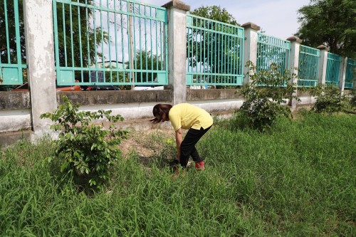 กองยุทธศาสตร์และงบประมาณ ร่วมกิจกรรมวันต้นไม้ประจำปีของชาติ พ.ศ.2567 