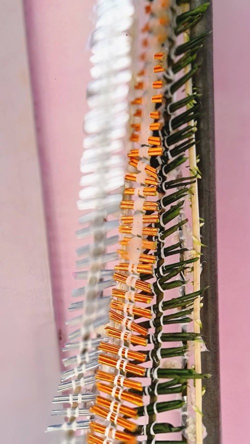 ปราชญ์ชาวบ้าน คุณจำลอง แสงราช สืบชะตาชุมชน