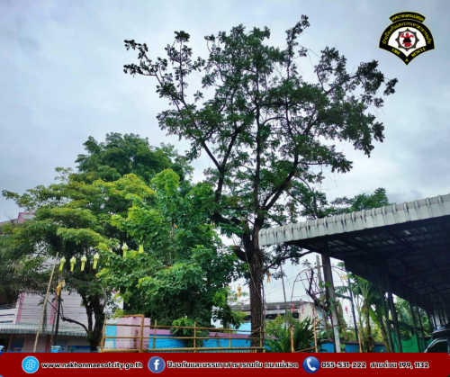 ดับเพลิงนครแม่สอด ลงพื้นที่สำรวจต้นไม้พาดสายไฟฟ้า-สื่อสาร บริเวณโรงเรียนแม่สอด