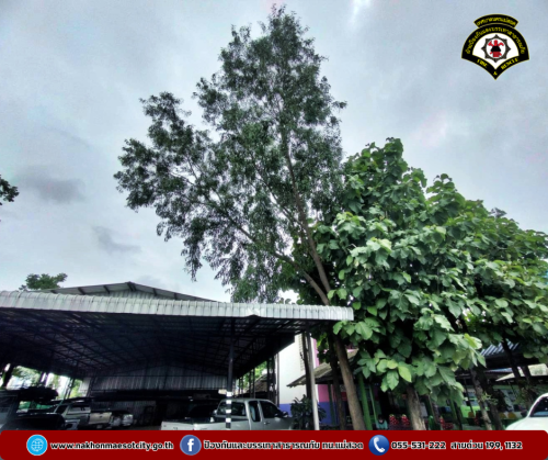 ดับเพลิงนครแม่สอด ลงพื้นที่สำรวจต้นไม้พาดสายไฟฟ้า-สื่อสาร บริเวณโรงเรียนแม่สอด