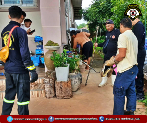 ดับเพลิงนครแม่สอด ดำเนินการจับสัตว์เลื้อยคลาน (งู) บ้านเรือนของประชาชน หมู่บ้านค้างภิบาล